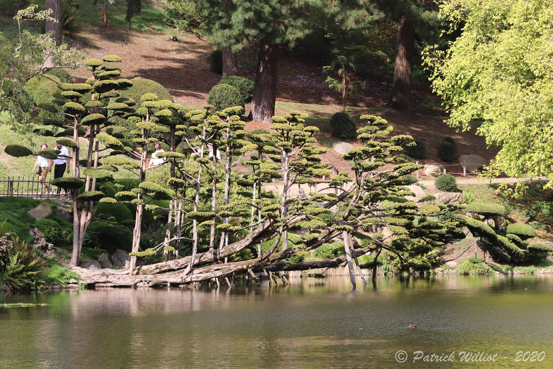 Parc Oriental, Maulevrier